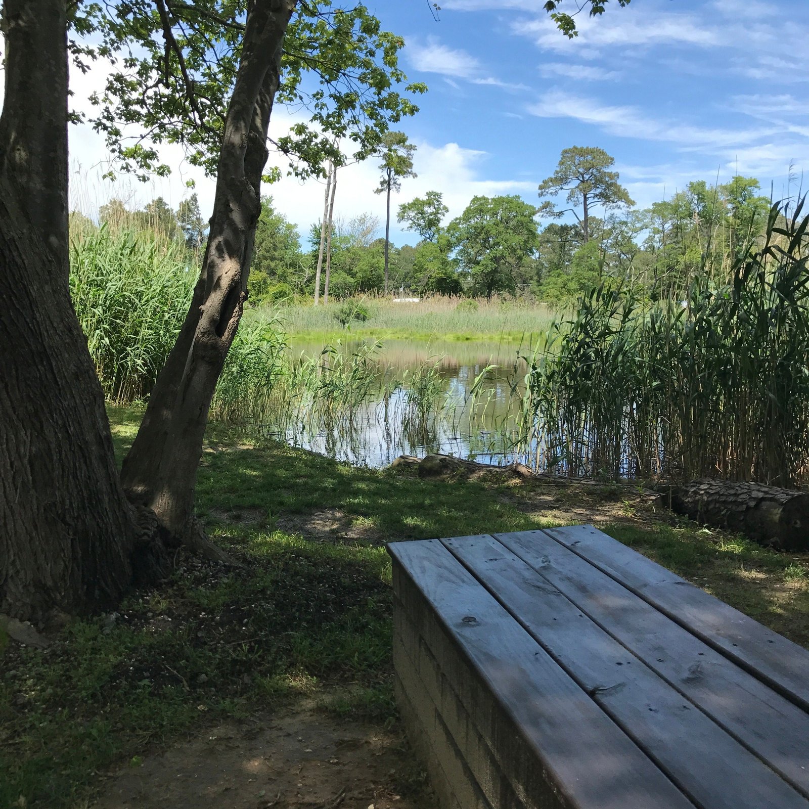 Bench and inlet.
